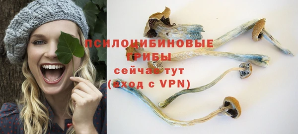 прущие крисы Богородск