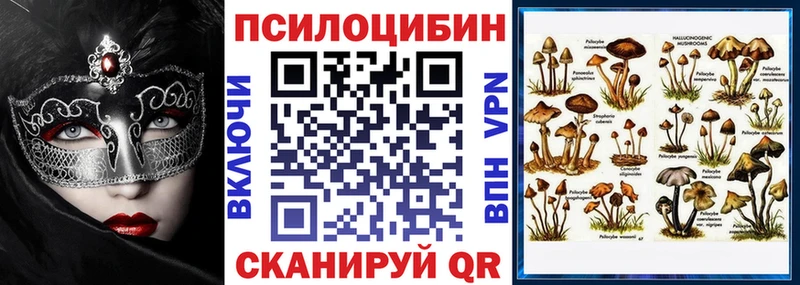 Псилоцибиновые грибы мухоморы  Полесск 